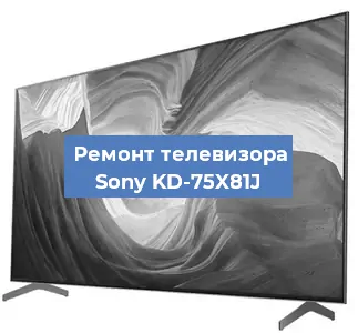 Замена порта интернета на телевизоре Sony KD-75X81J в Перми